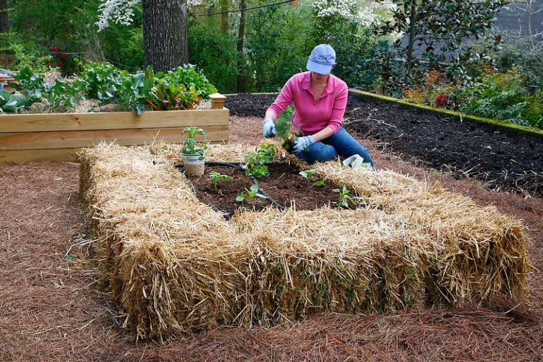 Hay bale garden 21 Grow Green Food