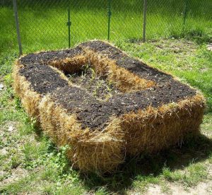 Easy Straw Bale Gardening Instructions | Grow Green Food