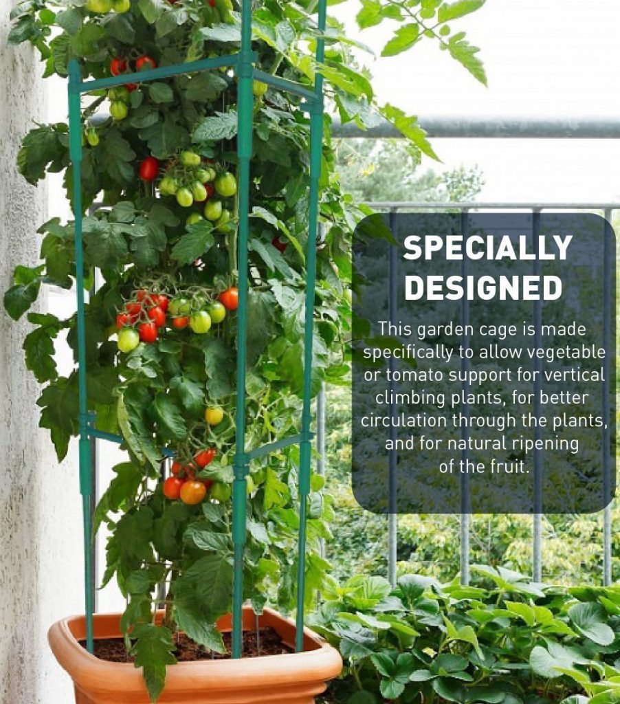 7 Best Tomato Plant Support Cages | Grow Green Food