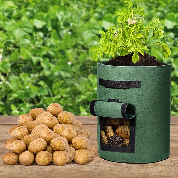 Florelf Visible Potato Grow Bags 10 Gallon with Flap 3-Pack,Potatoes Growing